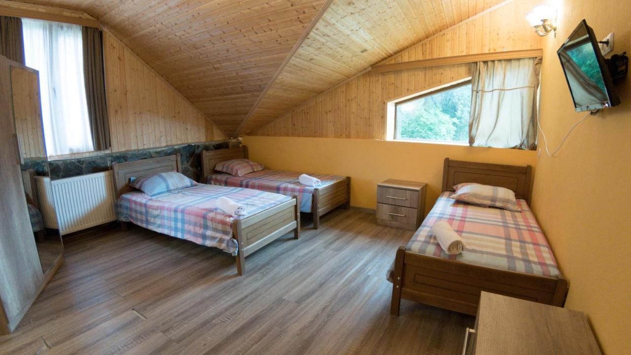 Hotel Eco House In 바쿠리아니 외부 사진