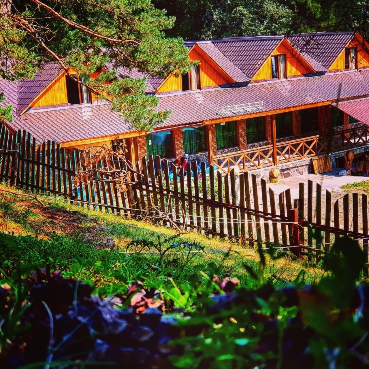 Hotel Eco House In 바쿠리아니 외부 사진