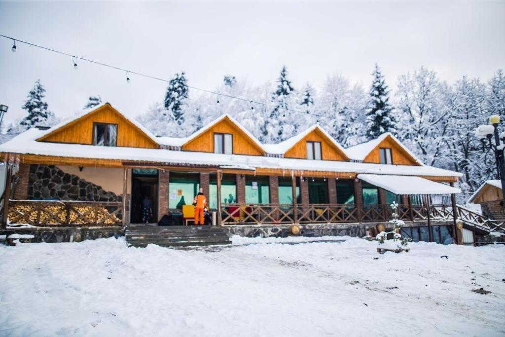 Hotel Eco House In 바쿠리아니 외부 사진