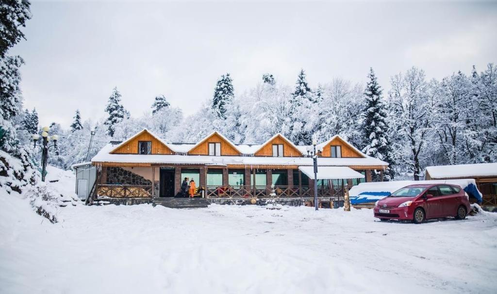 Hotel Eco House In 바쿠리아니 외부 사진