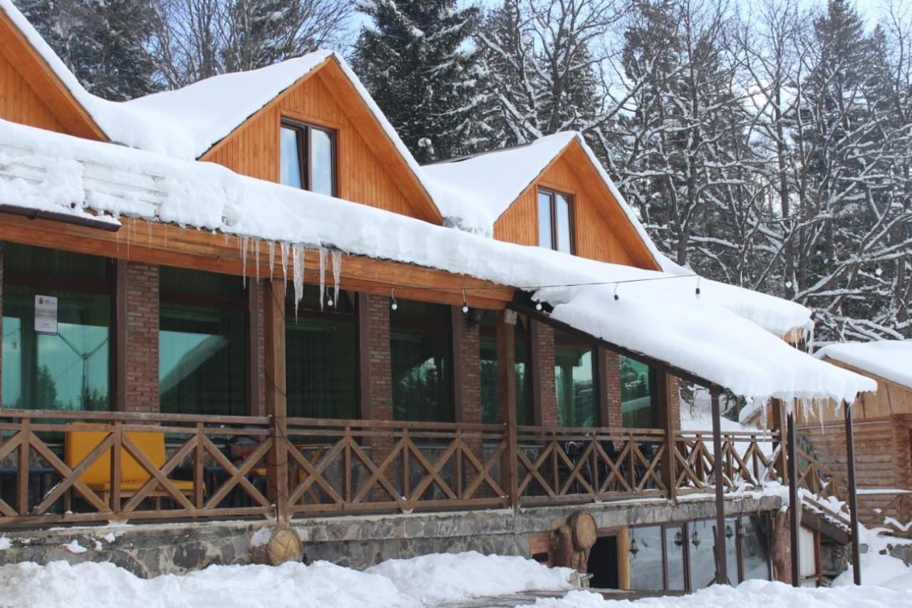 Hotel Eco House In 바쿠리아니 외부 사진